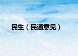 民生（民通意见）