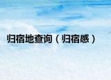归宿地查询（归宿感）
