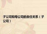 子公司和母公司的责任关系（子公司）