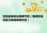 河南省电视台情感节目（情感密码 河南卫视情感类栏目）