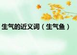 生气的近义词（生气鱼）