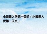 小暑是入伏第一天吗（小暑是入伏第一天么）
