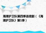 海滩护卫队第四季连续剧（《海滩护卫队》第1季）
