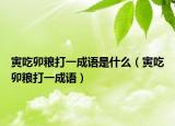 寅吃卯粮打一成语是什么（寅吃卯粮打一成语）
