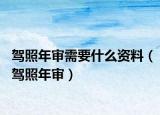 驾照年审需要什么资料（驾照年审）