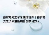 赛尔号光之子米瑞斯培养（赛尔号光之子米瑞斯刷什么学习力）