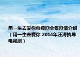 用一生去爱你电视剧全集剧情介绍（用一生去爱你 2014年汪涛执导电视剧）