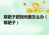 草耙子耙到肉里怎么办（草耙子）