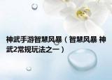 神武手游智慧风暴（智慧风暴 神武2常规玩法之一）