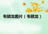 韦骁龙图片（韦骁龙）