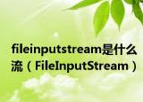 fileinputstream是什么流（FileInputStream）