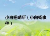 小白杨哨所（小白杨事件）