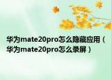 华为mate20pro怎么隐藏应用（华为mate20pro怎么录屏）