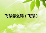 飞球怎么踢（飞球）
