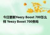 今日更新Yeezy Boost 700怎么样 Yeezy Boost 700贵吗