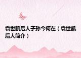 袁世凯后人子孙今何在（袁世凯后人简介）