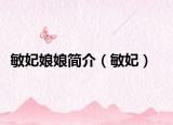 敏妃娘娘简介（敏妃）