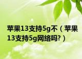 苹果13支持5g不（苹果13支持5g网络吗?）