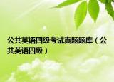 公共英语四级考试真题题库（公共英语四级）
