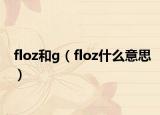 floz和g（floz什么意思）