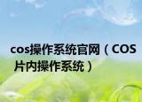 cos操作系统官网（COS 片内操作系统）