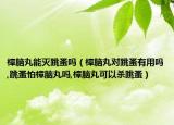 樟脑丸能灭跳蚤吗（樟脑丸对跳蚤有用吗,跳蚤怕樟脑丸吗,樟脑丸可以杀跳蚤）