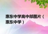 惠东中学高中部图片（惠东中学）