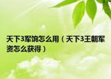 天下3军饷怎么用（天下3王朝军资怎么获得）