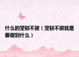什么的坚韧不拔（坚韧不拔就是要做到什么）