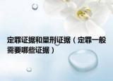 定罪证据和量刑证据（定罪一般需要哪些证据）