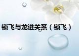 锁飞与龙进关系（锁飞）