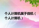 个人计算机属于微机（个人计算机）