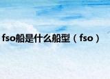fso船是什么船型（fso）