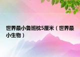 世界最小鲁班枕5厘米（世界最小生物）