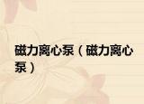 磁力离心泵（磁力离心泵）