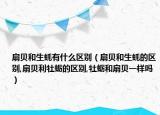 扇贝和生蚝有什么区别（扇贝和生蚝的区别,扇贝利牡蛎的区别,牡蛎和扇贝一样吗）