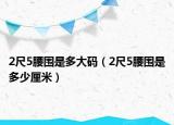 2尺5腰围是多大码（2尺5腰围是多少厘米）