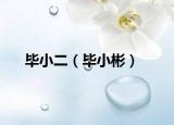 毕小二（毕小彬）