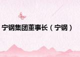 宁钢集团董事长（宁钢）