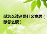 猷怎么读音是什么意思（猷怎么读）
