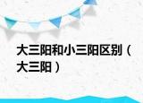 大三阳和小三阳区别（大三阳）