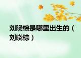 刘晓棕是哪里出生的（刘晓棕）
