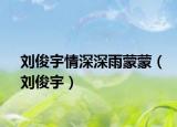 刘俊宇情深深雨蒙蒙（刘俊宇）