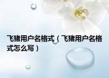 飞猪用户名格式（飞猪用户名格式怎么写）