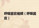 呼吸器官视频（呼吸器官）