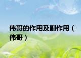 伟哥的作用及副作用（伟哥）