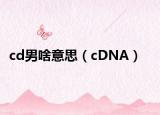 cd男啥意思（cDNA）
