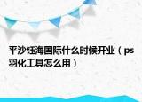 平沙钰海国际什么时候开业（ps羽化工具怎么用）