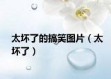 太坏了的搞笑图片（太坏了）