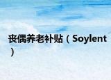 丧偶养老补贴（Soylent）